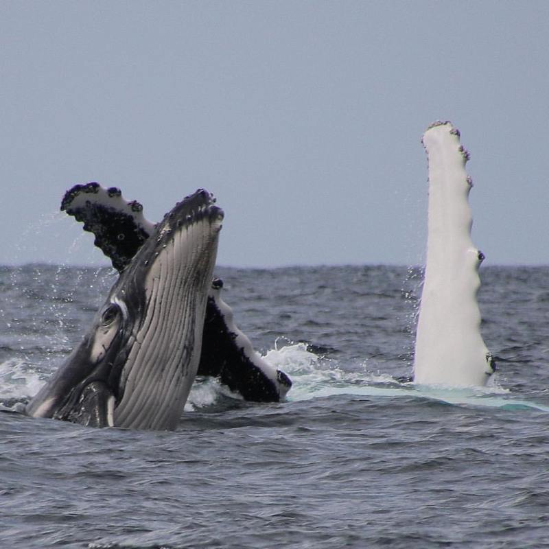 a large body of water