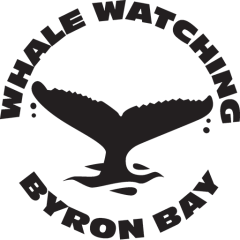 Byron Bay Whale Watching