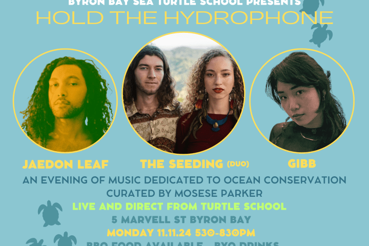 graphical user interface, text